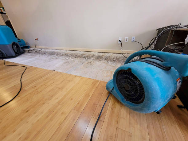 Professional Water Extraction technician working in Braddock, PA